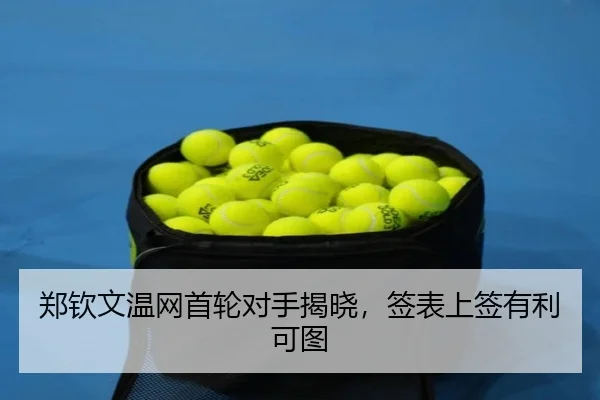 郑钦文温网首轮对手揭晓，签表上签有利可图 | hth
